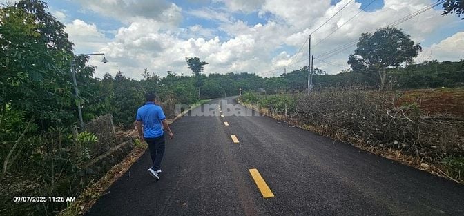 Bán đất 15000m2 tại ĐT 328, Bàu Lâm, Xuyên Mộc, 45 tỷ, view đẹp 
