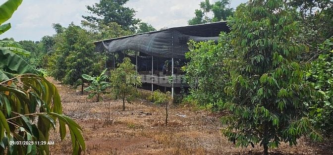 Bán đất 15000m2 tại ĐT 328, Bàu Lâm, Xuyên Mộc, 45 tỷ, view đẹp 
