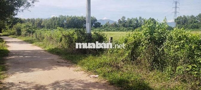 Bán Đất Nhị Hà - Mặt tiền đường bê tông
