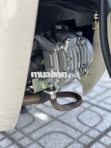 Supper cub 125 máy lớn nhập Thái