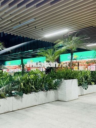 Cơ hội cuối thuê được căn hộ 2PN giá 5,5tr, ngay chợ Đông Hòa