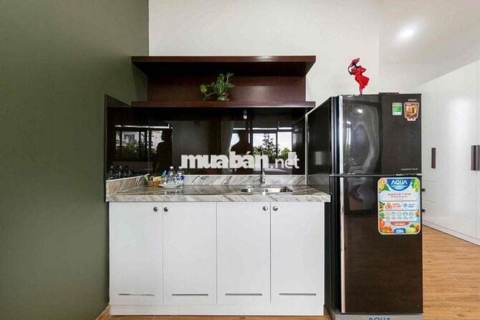 Căn Hộ 1PN Ban Công Sân Vườn 50m2_Trần Hưng Đạo Quận 1