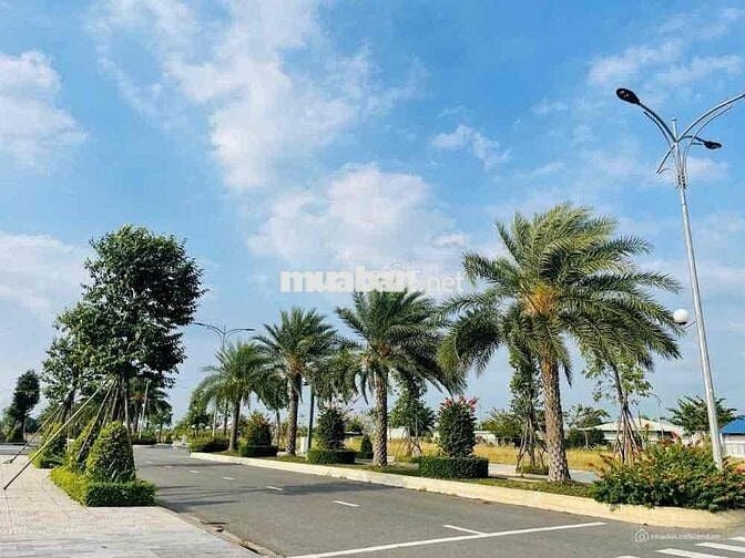Siêu phẩm đầu tư gọi tên King Hill Bến Lức - An cư vững bền 🔥