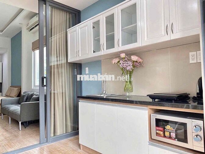 Căn Hộ 1PN Ban Công/Cửa Sổ Full NT 40m2_Gần CV Lê Văn Tám Quận 1