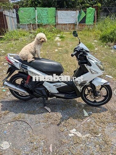Novo LX giấy tờ đầy đủ