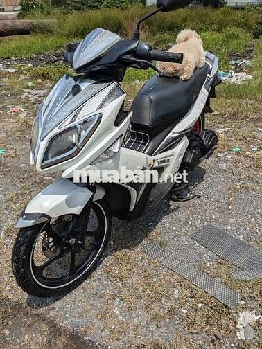 Novo LX giấy tờ đầy đủ