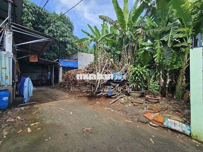 Đất gần chợ Tân Bình phường Tân Bình Tp Dĩ An