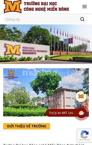 Bán đất thổ cư sổ sẵn giá tốt Sông Thao Bàu Hàm.