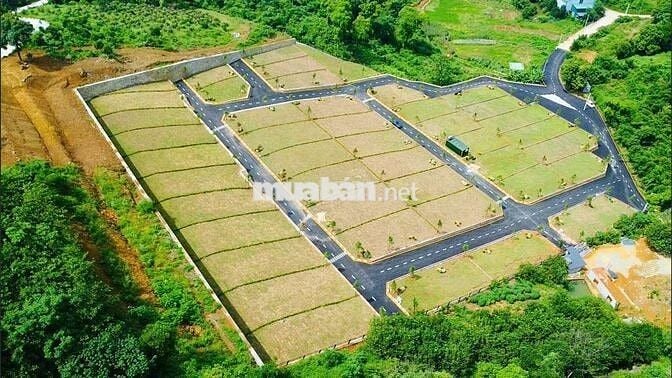 Bán đất nền biệt thự sinh thái đồi Hòa Lạc