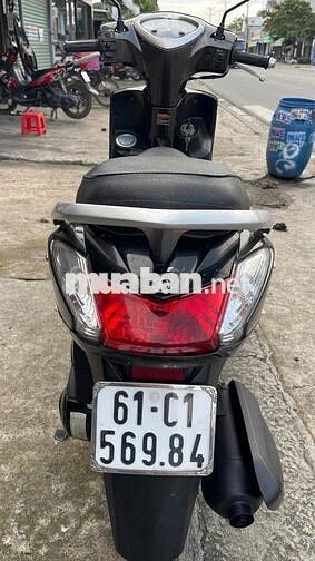 acuzo biển 61