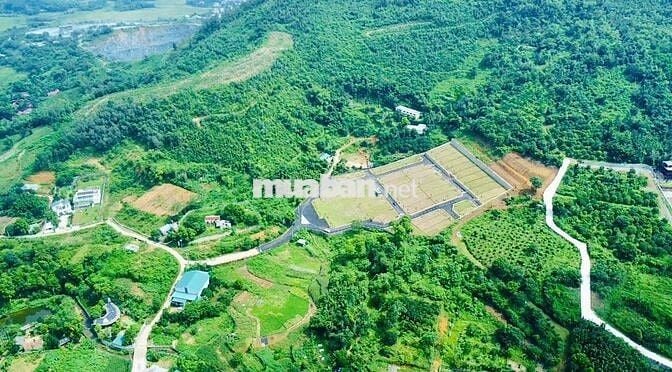 Bán đất nền biệt thự sinh thái đồi Hòa Lạc