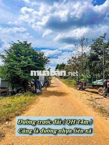 Đường nhựa QH 14M tại Ea sin- Krong buk- Daklak