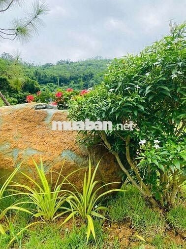 Bán đất nền biệt thự sinh thái đồi Hòa Lạc