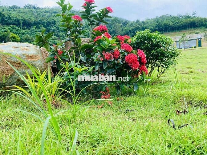 Bán đất nền biệt thự sinh thái đồi Hòa Lạc