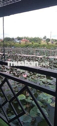Cần bán lô đất thôn la thọ 2 .phường điện bàn bắc