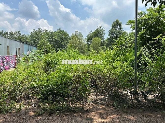 BÁN ĐẤT 1005m2 PHÙ HỢP XÂY TRỌ,NHÀ XƯỞNG