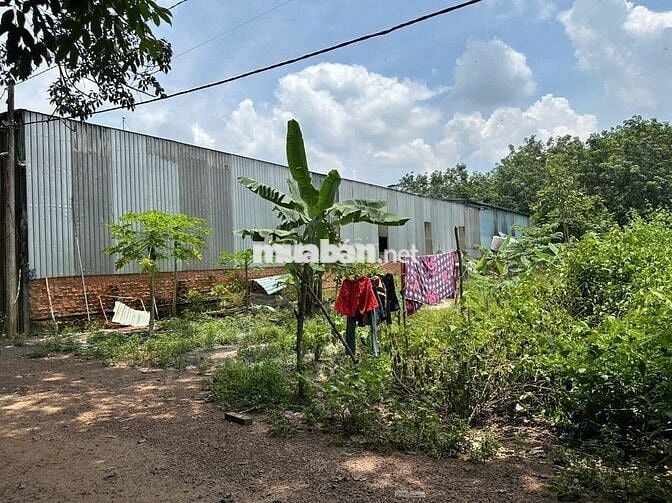 BÁN ĐẤT 1005m2 PHÙ HỢP XÂY TRỌ,NHÀ XƯỞNG