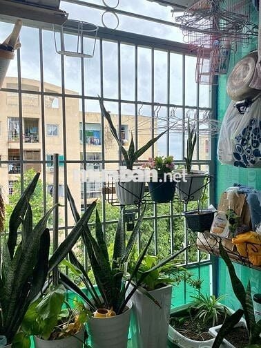 Cho thuê căn hộ 2pn 53m² Chung cư Hiệp Bình Chánh Thủ Đức