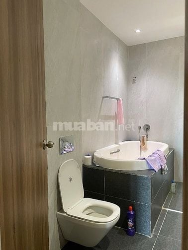 Mặt tiền đường lớn 8m vỉa hè 5m biệt thự hồ bơi 102m2 hầm + 3 tầng SHR