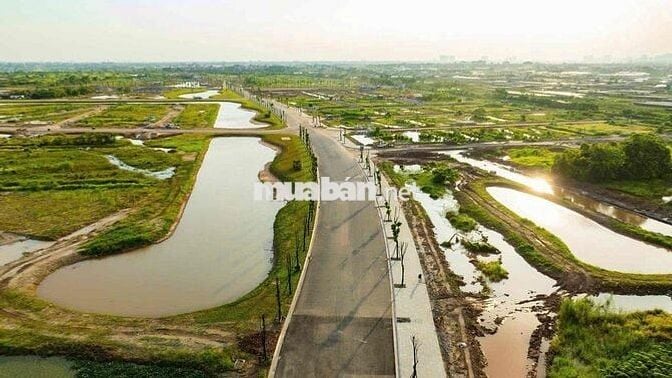 Nhà phố khoáng nóng Alluvia city Văn Giang  ĐTD 120m DTSD 408m