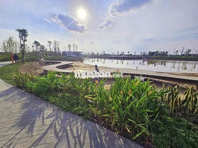 Nhà phố khoáng nóng Alluvia city Văn Giang  ĐTD 120m DTSD 408m