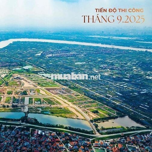 Nhà phố khoáng nóng Alluvia city Văn Giang  ĐTD 120m DTSD 408m