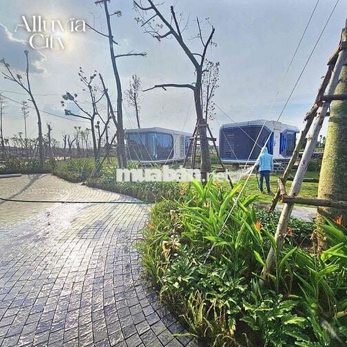 Nhà phố khoáng nóng Alluvia city Văn Giang  ĐTD 120m DTSD 408m