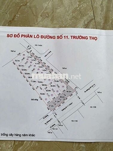 BÁN Lô ĐẤT HXH _DT:60,1 _Giá Chỉ 5,8ty TL._ Đường Số 11