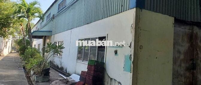 Bán kho xưởng 3600m², đất : 14.000m², Hiệp Thành, Châu Thành , Long An