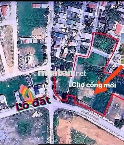 Càn bán Lô đất đẹp Nguyễn Lộ Trạch, cạnh chợ cống mới, sát ngã t