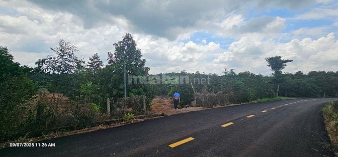 Bán đất DT 1096.8m2, giá siêu hời 4,2 tỷ tại ĐT 328, Bàu Lâm, XM, BRVT