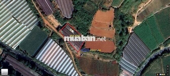 BÁN ĐẤT NN ĐƯỜNG CAO THẮNG, P.7, TP. ĐÀ LẠT - KHU D4 CAO THẮNG