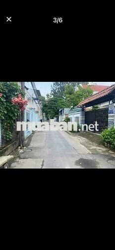 🌿 BÁN NHÀ SÂN VƯỜN – GẦN ĐẠI HỌC THỦ DẦU MỘT, SÁT KDC PHÚ HÒA 1 🌿
