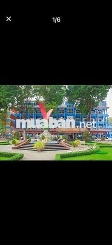🌿 BÁN NHÀ SÂN VƯỜN – GẦN ĐẠI HỌC THỦ DẦU MỘT, SÁT KDC PHÚ HÒA 1 🌿