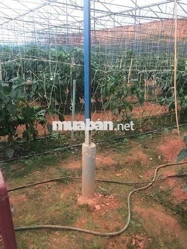 BÁN ĐẤT NN ĐƯỜNG CAO THẮNG, P.7, TP. ĐÀ LẠT - KHU D4 CAO THẮNG