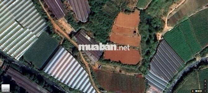 BÁN ĐẤT NN ĐƯỜNG CAO THẮNG, P.7, TP. ĐÀ LẠT - KHU D4 CAO THẮNG