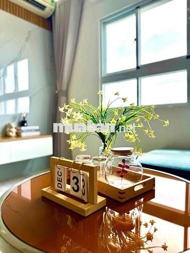 20% thanh toán nhận nhà trong 2 năm