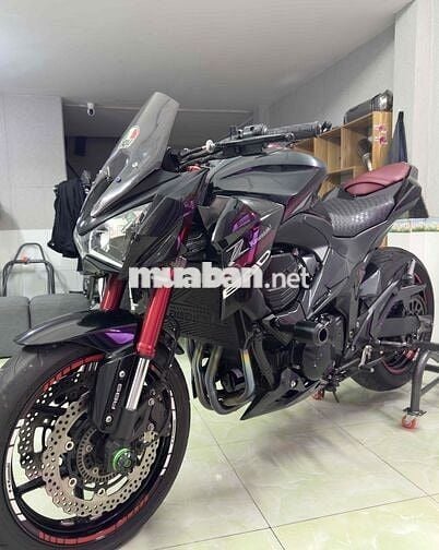 Z800 abs 2016