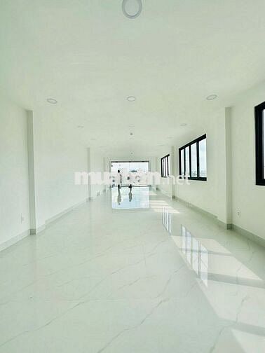 Cho thuê toà nhà mới xây 7 tầng đường Phan Đăng Lưu, P7, QPhú Nhuận