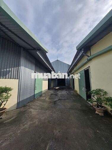 Nhà Xưởng 1023m2 tại Đường Nguyễn Thị Xạnh, Củ Chigiá siêu hời 14,5 tỷ
