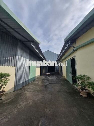Nhà Xưởng 1023m2 tại Đường Nguyễn Thị Xạnh, Củ Chigiá siêu hời 14,5 tỷ