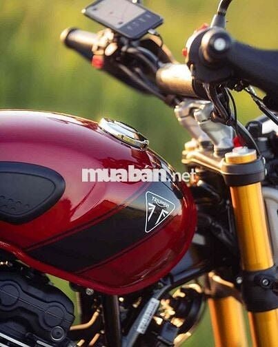 💥 🏍️ Triumph Scrambler 400X giá cực tốt !!!