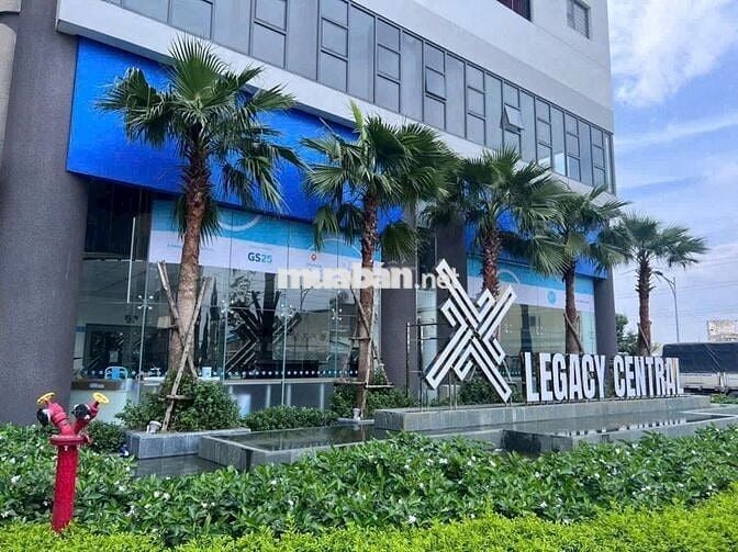Bán căn hộ TP HCM, sổ hồng riêng, tiện ích cao cấp