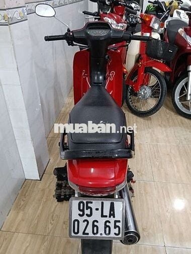 Anpha lóc trắng, máy zin bs95