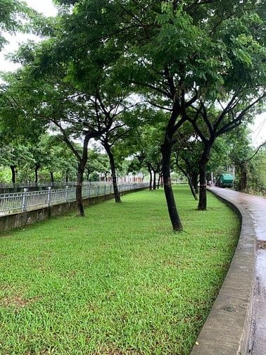 Bán đất kế Công Viên 150ha (4x23m) gía 3,5 tỷ Thạnh Xuân 31. Q12.
