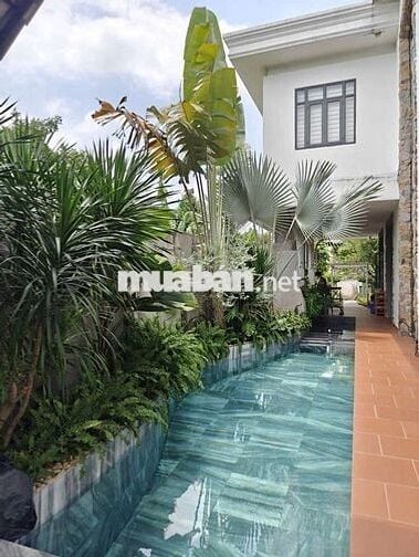 Cho thuê biệt thự sân vườn 500m2 An Thạnh có nội thất