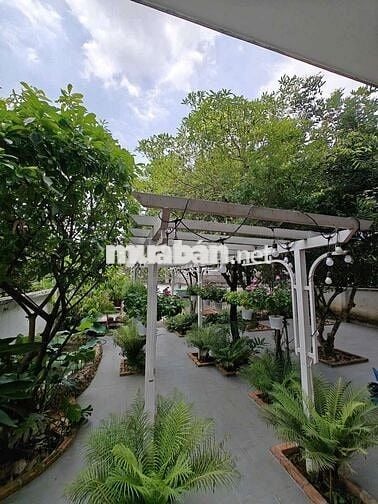 Cho thuê biệt thự sân vườn 500m2 An Thạnh có nội thất