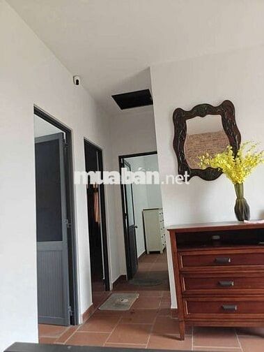 Cho thuê biệt thự sân vườn 500m2 An Thạnh có nội thất
