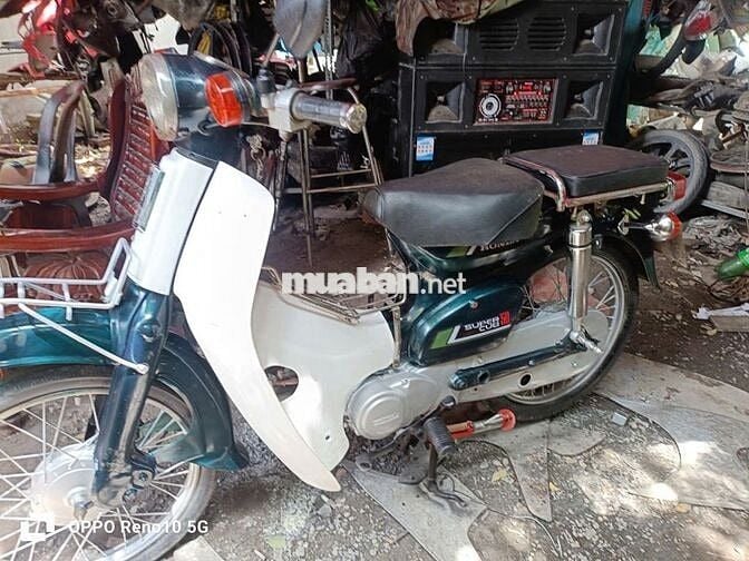 Honda cub 81-50cc bstp