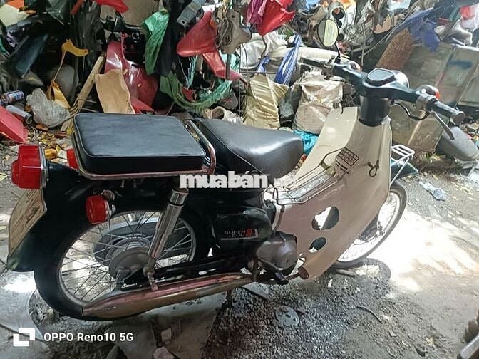 Honda cub 81-50cc bstp